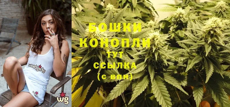 Каннабис SATIVA & INDICA  Алатырь 